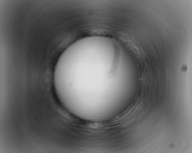 X0000103250079200808281106