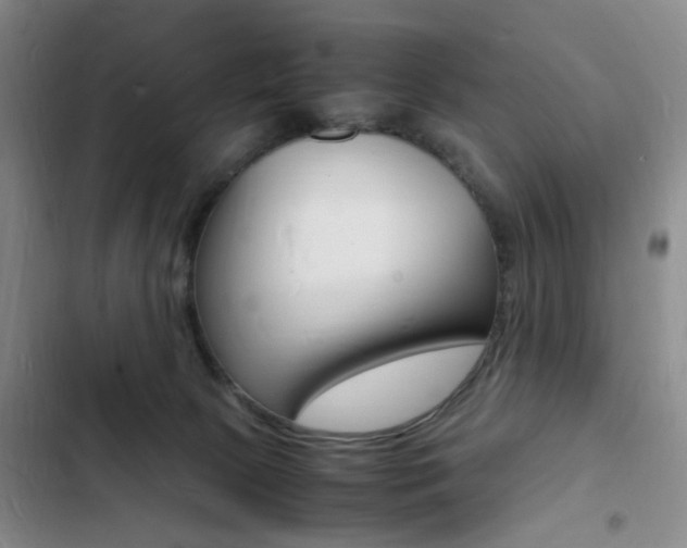 X0000103250081200808281106