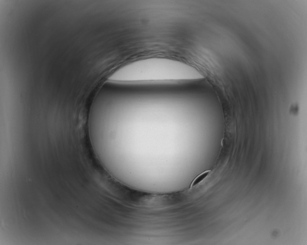 X0000103250082200808281106