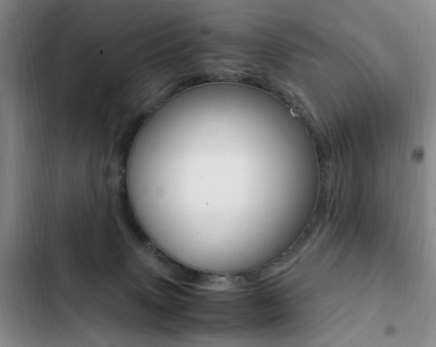 X0000103250083200808281106