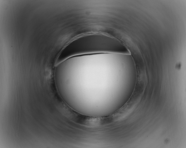 X0000103250084200808281106