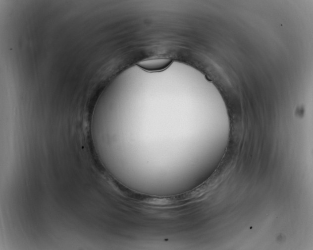 X0000103250085200808281106
