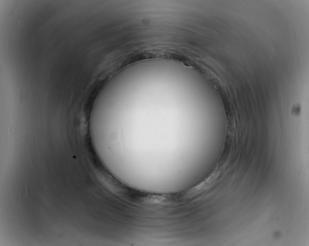X0000103250086200808281106