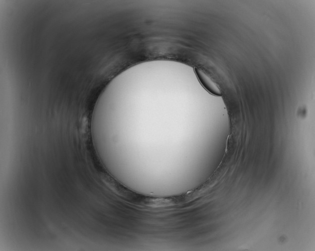 X0000103250087200808281106