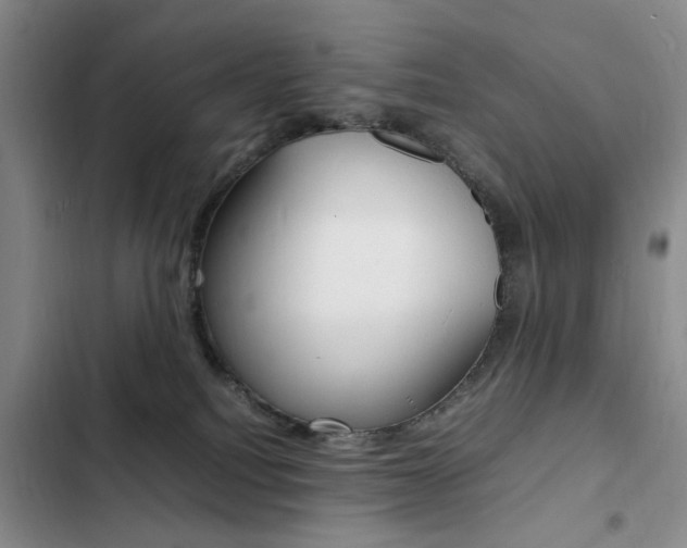 X0000103250088200808281106