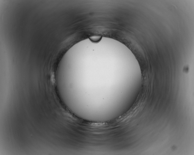 X0000103250089200808281106