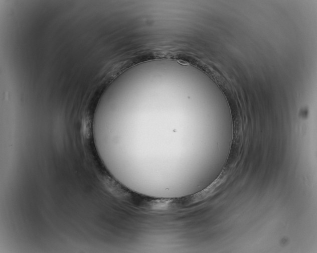 X0000103250090200808281106