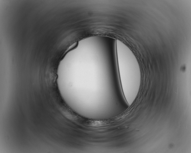 X0000103250091200808281106