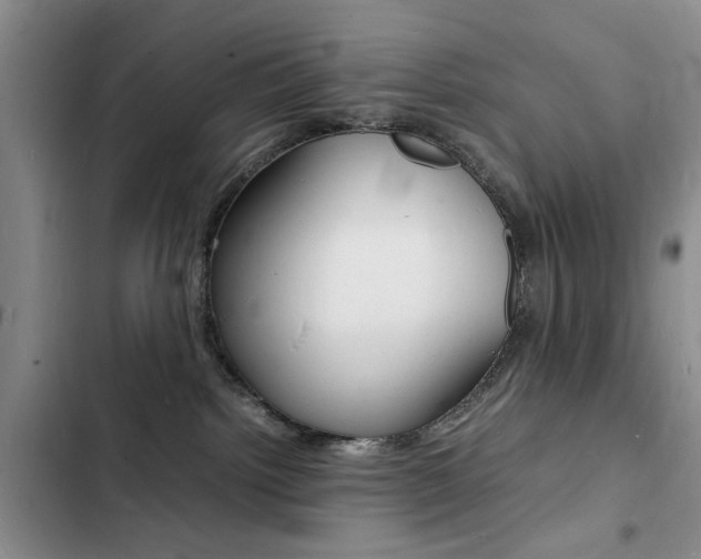 X0000103250092200808281106