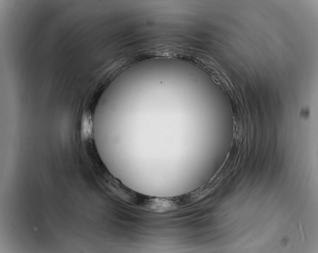 X0000103250095200808281106