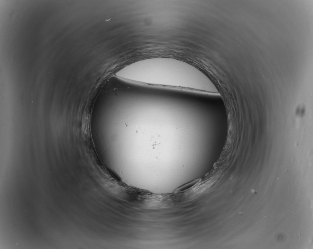 X0000103250096200808281106