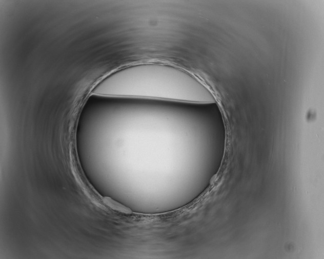 X0000103250097200808281106