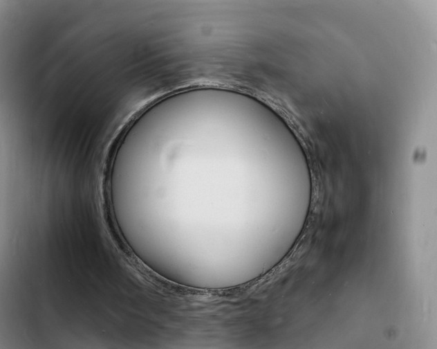 X0000103250098200808281106
