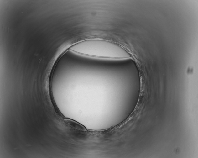 X0000103250099200808281106