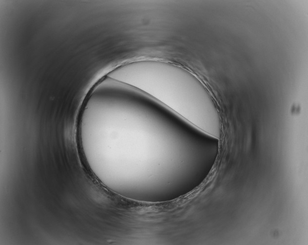 X0000103250100200808281106