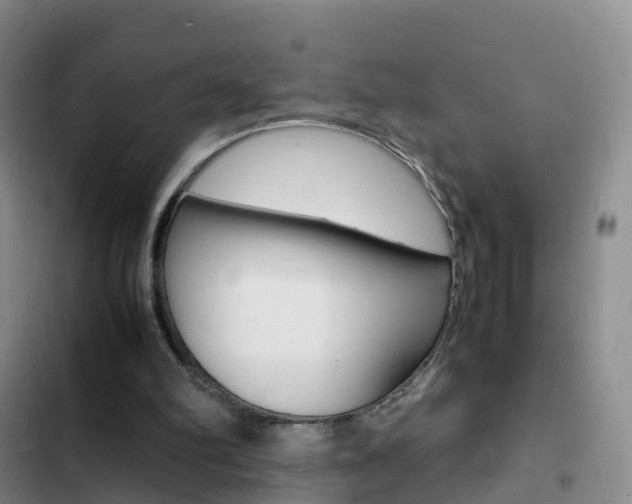 X0000103250102200808281106