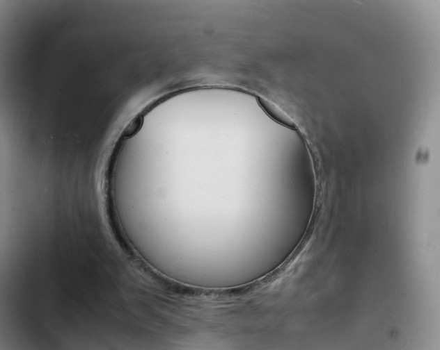 X0000103250103200808281106