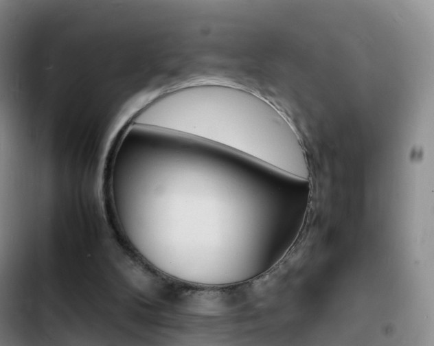 X0000103250104200808281106
