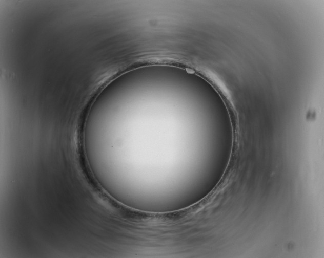 X0000103250105200808281106