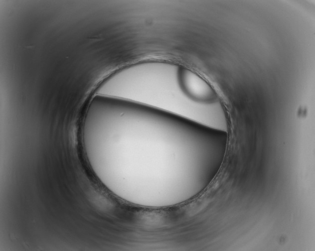 X0000103250106200808281105