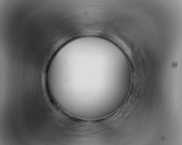 X0000103250107200808281105