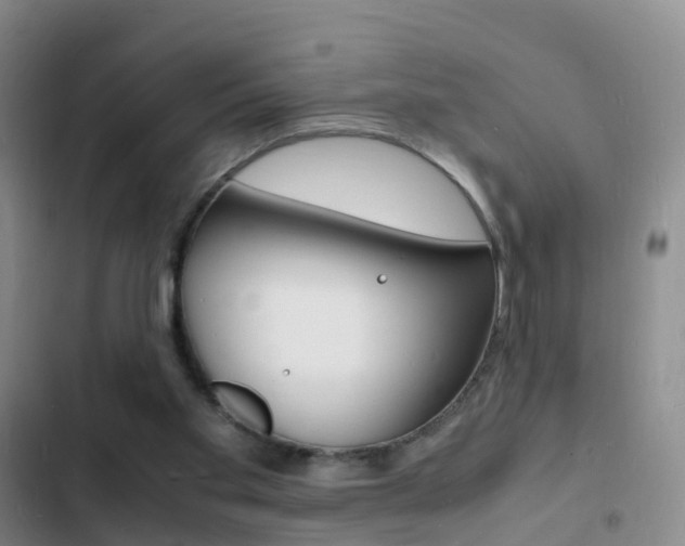 X0000103250109200808281105