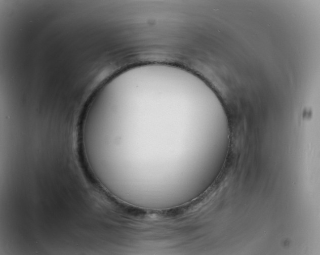 X0000103250111200808281105