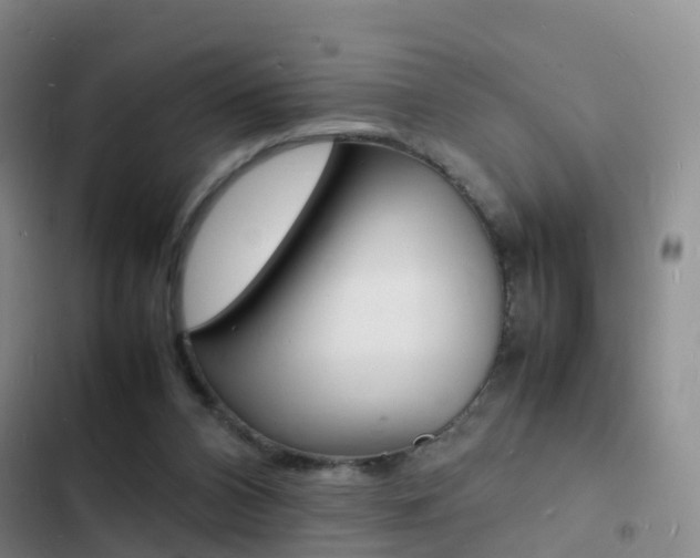 X0000103250112200808281105