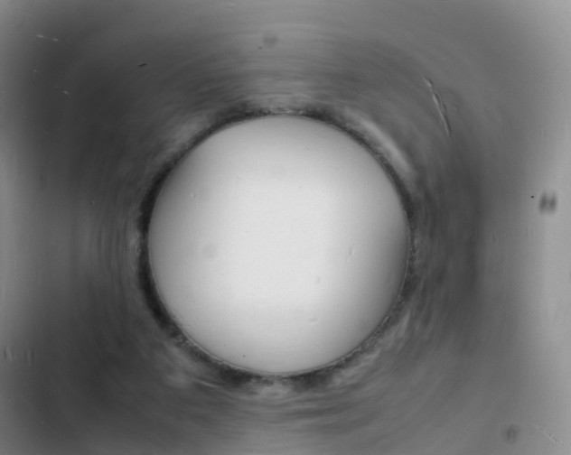 X0000103250113200808281105