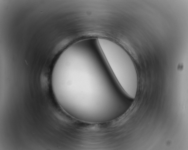 X0000103250116200808281105