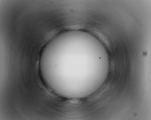 X0000103250118200808281105