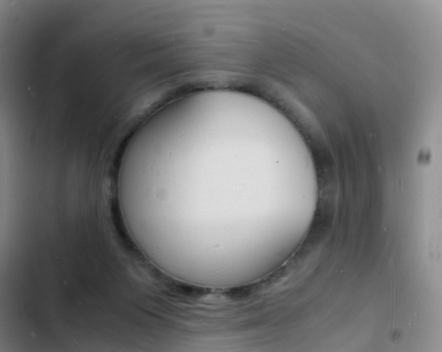 X0000103250119200808281105