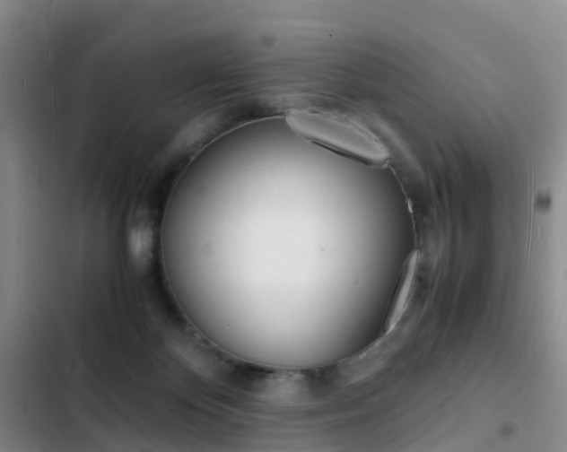 X0000103250124200808281105