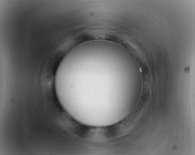 X0000103250125200808281105