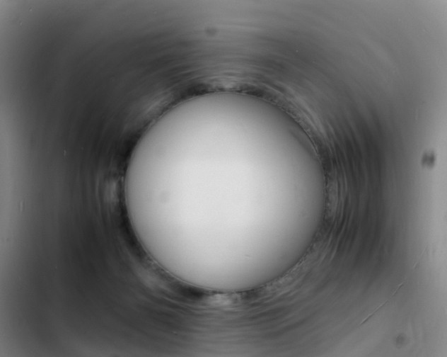 X0000103250126200808281105