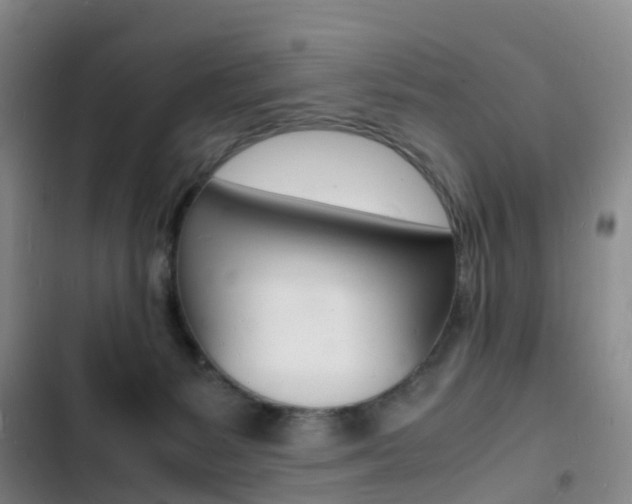 X0000103250127200808281105