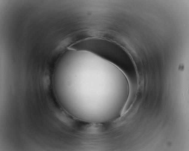 X0000103250128200808281105