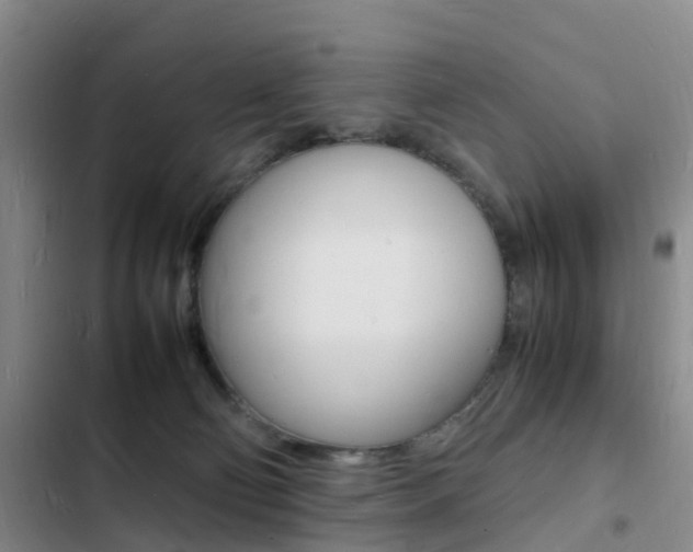 X0000103250130200808281105