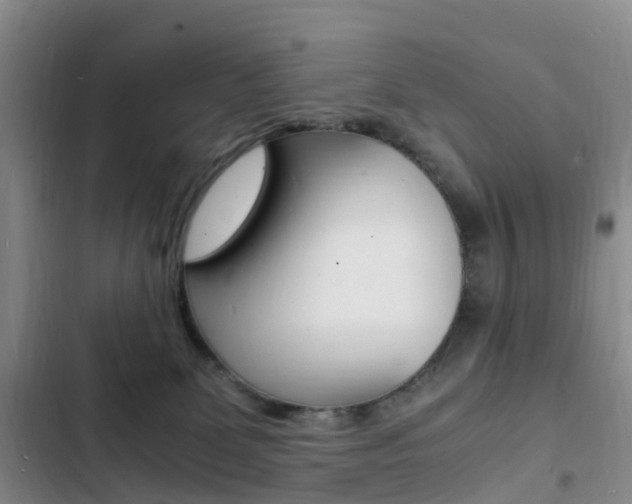 X0000103250131200808281105