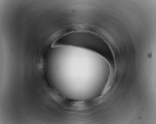 X0000103250132200808281105