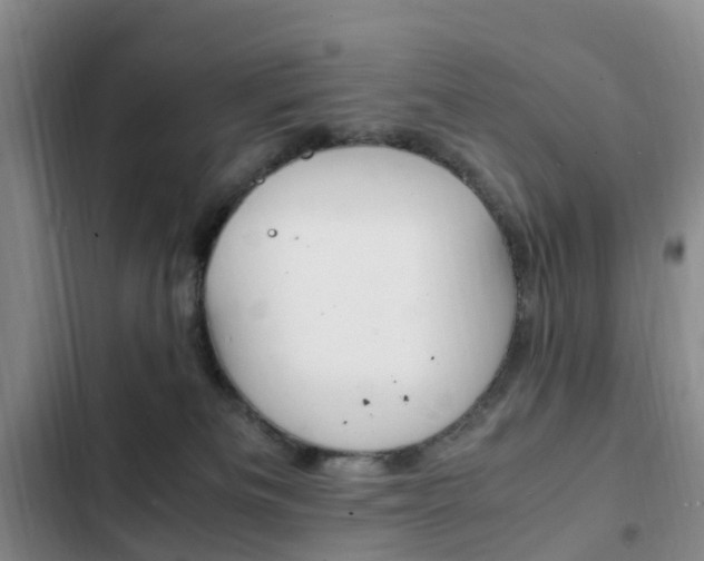 X0000103250133200808281105