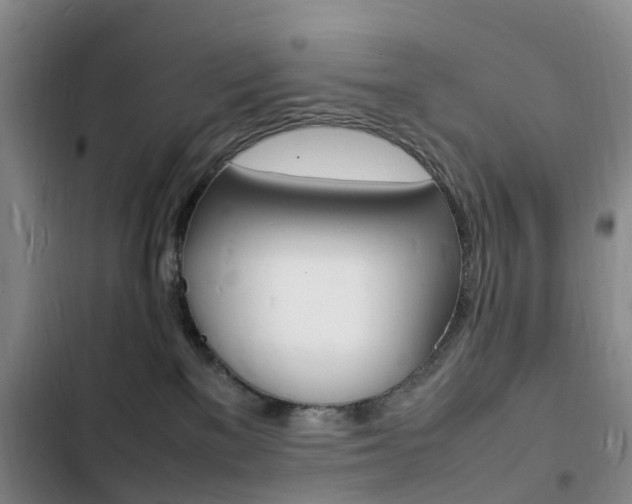X0000103250137200808281105
