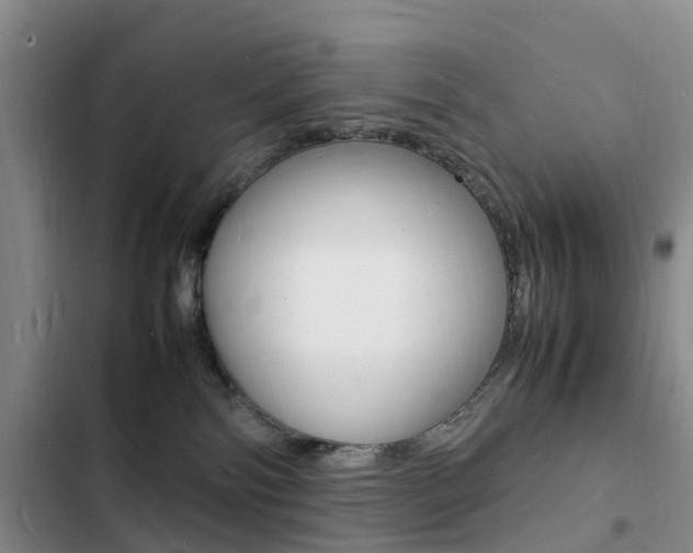 X0000103250138200808281105