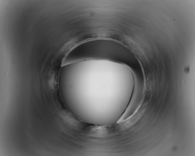 X0000103250140200808281105