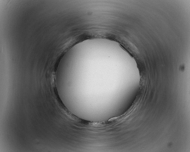 X0000103250141200808281105