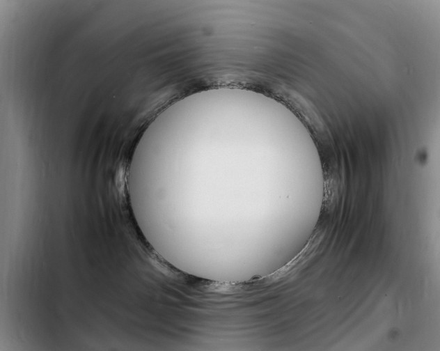 X0000103250142200808281105