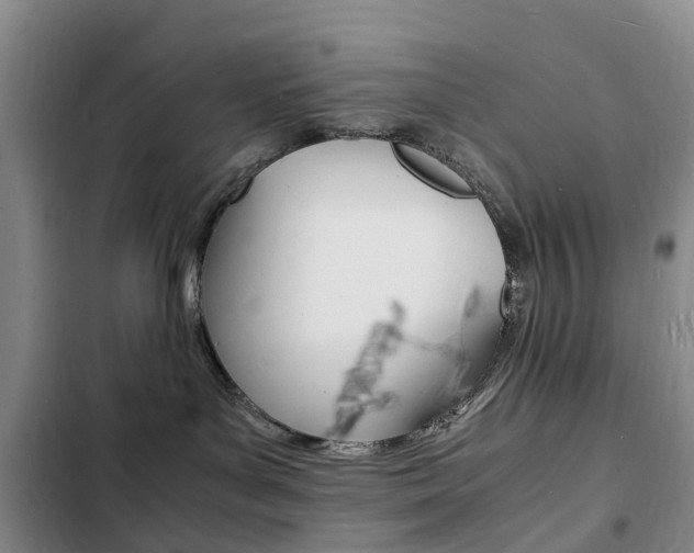 X0000103250143200808281105
