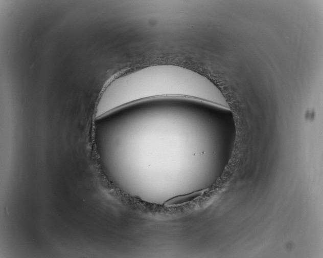 X0000103250144200808281105