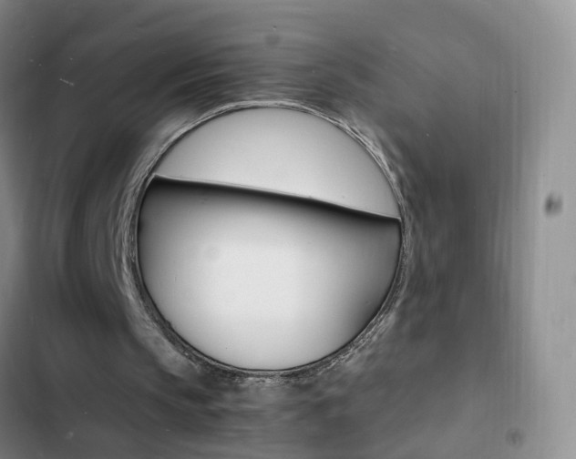 X0000103250145200808281104