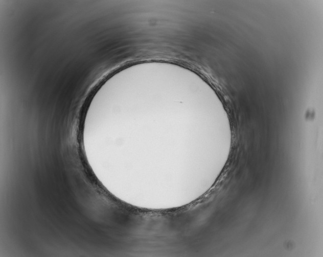 X0000103250146200808281104
